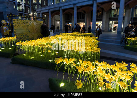 London, UK. 2. März 2017. Mitglieder der Öffentlichkeit anzeigen The Garden of Light, bestehend aus 2.100 Narzissen, das zur Zeit auf dem Display in Paternoster Square neben der St. Pauls Kathedrale. Jede Narzisse repräsentiert eine Marie Curie Nurse, als Symbol für die Betreuung und Unterstützung, die sie von der unheilbaren Krankheit betroffenen Familien geben. Als Teil der großen Narzisse Nächstenliebe wird die Anzeige auf andere Standorte in Großbritannien im März verschoben werden. Bildnachweis: Stephen Chung/Alamy Live-Nachrichten Stockfoto