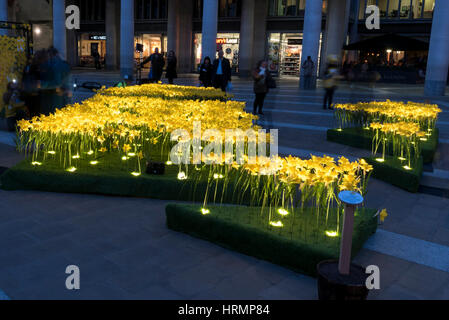 London, UK. 2. März 2017. Mitglieder der Öffentlichkeit anzeigen The Garden of Light, bestehend aus 2.100 Narzissen, das zur Zeit auf dem Display in Paternoster Square neben der St. Pauls Kathedrale. Jede Narzisse repräsentiert eine Marie Curie Nurse, als Symbol für die Betreuung und Unterstützung, die sie von der unheilbaren Krankheit betroffenen Familien geben. Als Teil der großen Narzisse Nächstenliebe wird die Anzeige auf andere Standorte in Großbritannien im März verschoben werden. Bildnachweis: Stephen Chung/Alamy Live-Nachrichten Stockfoto