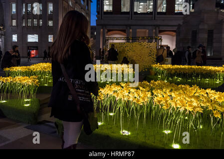 London, UK. 2. März 2017. Mitglieder der Öffentlichkeit anzeigen The Garden of Light, bestehend aus 2.100 Narzissen, das zur Zeit auf dem Display in Paternoster Square neben der St. Pauls Kathedrale. Jede Narzisse repräsentiert eine Marie Curie Nurse, als Symbol für die Betreuung und Unterstützung, die sie von der unheilbaren Krankheit betroffenen Familien geben. Als Teil der großen Narzisse Nächstenliebe wird die Anzeige auf andere Standorte in Großbritannien im März verschoben werden. Bildnachweis: Stephen Chung/Alamy Live-Nachrichten Stockfoto