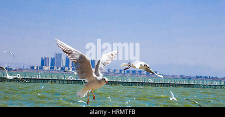 Kunming, Kunming, China. 2. März 2017. Kunming, CHINA-2. März 2017: (nur zur redaktionellen Verwendung. CHINA HERAUS). Viele Lachmöwen fliegen von Sibirien nach Dianchi See in Kunming, Süden der chinesischen Provinz Yunnan. Bildnachweis: SIPA Asien/ZUMA Draht/Alamy Live-Nachrichten Stockfoto