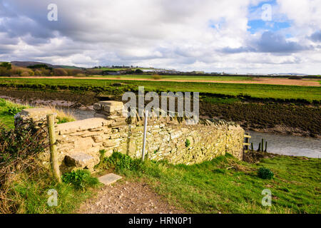 Der South West Coast Path neben dem Fluss Caen. Braunton, Devon, England. Stockfoto