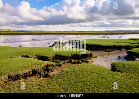 Der Fluss Caen bei Ebbe. Braunton, Devon, England. Stockfoto