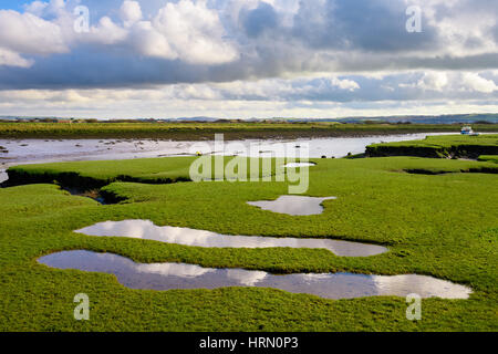 Der Fluss Caen bei Ebbe. Braunton, Devon, England. Stockfoto