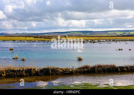 Horsey Insel aus Braunton Marsh, Braunton, Devon, England. Stockfoto
