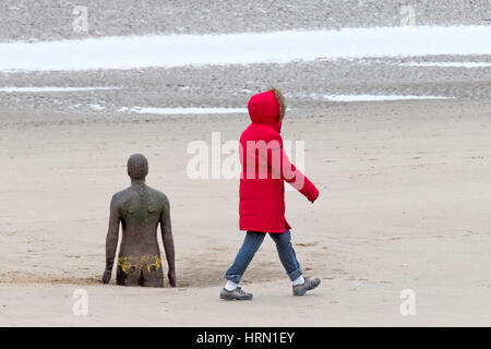 Großbritannien Wetter, Crosby, Liverpool, Merseyside. 3. März 2017.  Trotz des kalten grauen Wetters über den Nordwesten Englands haben diese daft Hunde und ihre Besitzer eine tolle Zeit beim Spielen am Strand von Crosby in Merseyside.    Bildnachweis: Cernan Elias/Alamy Live-Nachrichten Stockfoto