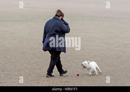 Großbritannien Wetter, Crosby, Liverpool, Merseyside. 3. März 2017.  Trotz des kalten grauen Wetters über den Nordwesten Englands haben diese daft Hunde und ihre Besitzer eine tolle Zeit beim Spielen am Strand von Crosby in Merseyside.    Bildnachweis: Cernan Elias/Alamy Live-Nachrichten Stockfoto