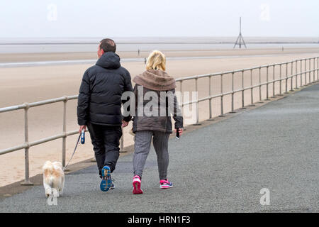 Großbritannien Wetter, Crosby, Liverpool, Merseyside. 3. März 2017.  Trotz des kalten grauen Wetters über den Nordwesten Englands haben diese daft Hunde und ihre Besitzer eine tolle Zeit beim Spielen am Strand von Crosby in Merseyside.    Bildnachweis: Cernan Elias/Alamy Live-Nachrichten Stockfoto