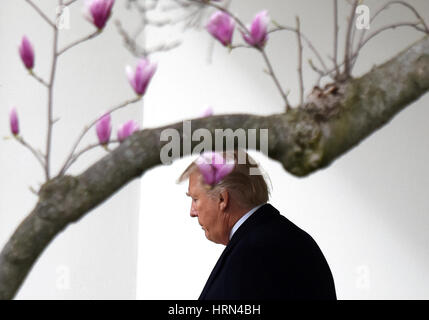 Washington, USA. 3. März 2017. US-Präsident Donald Trump geht zu Marine One Board aus dem weißen Haus in Washington, DC, USA, 3. März 2017. Bildnachweis: Yin Bogu/Xinhua/Alamy Live-Nachrichten Stockfoto