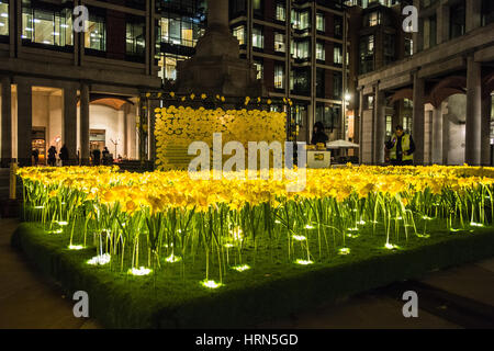 Marie Curie, die Great Daffodil Appeal and Garden of Light Installation der Krebshilfe auf dem Paternoster Square, London, Großbritannien Stockfoto