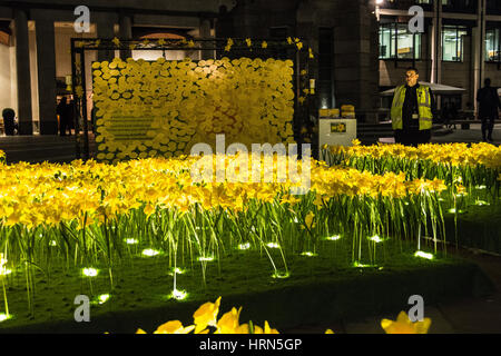 London, UK. 3. März 2017. Marie Curie, die Cancer Charity große Narzisse Anziehungskraft und Garden of Light Installation in Paternoster Square, London, UK Credit: Jansos/Alamy Live News Stockfoto