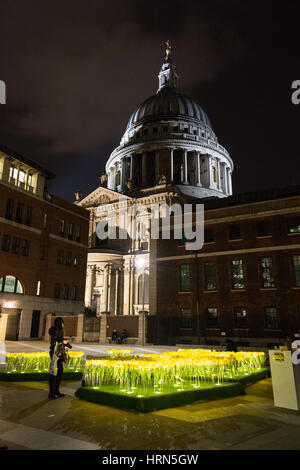 Marie Curie, die Great Daffodil Appeal and Garden of Light Installation der Krebshilfe auf dem Paternoster Square, London, Großbritannien Stockfoto