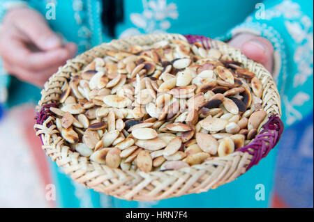 Argan-Früchte aus der Arganbäume (Argania Spinosa) im südwestlichen Marokko Argan-Öl verarbeitet wird Stockfoto