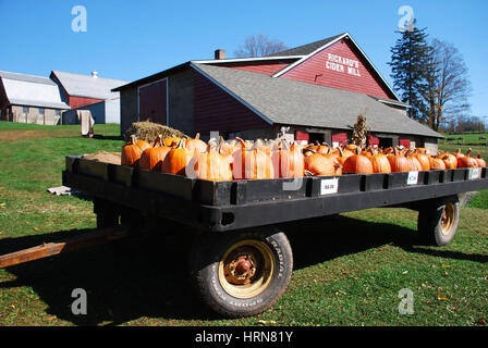 Ein Wagen voller Kürbisse, Hawley, PA Stockfoto