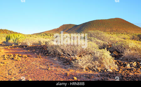 Panoramablick auf Wüstengebiet auf Teneriffa, Kanaren Stockfoto