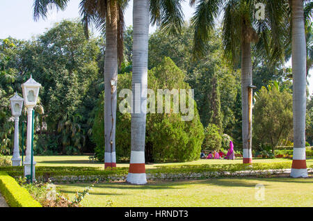Die schönen blühenden Garten in Udaipur Sahelion-Ki-Bari Stockfoto