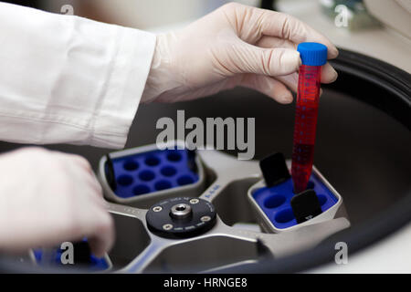 Moderne robotical Maschine für Zentrifuge Blut Stockfoto