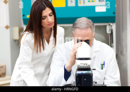 Wissenschaftler, die unter dem Mikroskop im Labor Stockfoto
