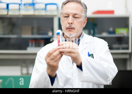 Forscher bei der Arbeit in einem Labor Stockfoto