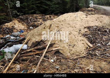 VALEA IERII, Rumänien - 15. September 2012: Sägemehl und Müll geworfen in der Nähe einer Forststraße in Valea Ierii. Die ländlichen Gebieten Rumäniens sind th konfrontiert. Stockfoto