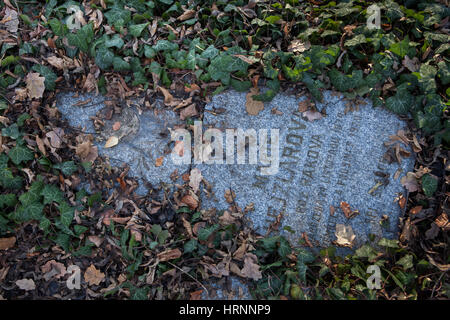 Bohnicky Friedhof für Patienten von Bohnice psychiatrischen Klinik in Prag, Tschechische Republik, allgemein bekannt als die verrückten Friedhof aufgegeben. Der zerstörte Grabstein von Marie Hejzlarova, geb. Rakova, geboren am 24. November 1874, starb am 24. Dezember 1920 im Alter von 46 Jahren. Der Friedhof ist seit einem halben Jahrhundert vollständig aufgegeben und fast alle Gräber sind jetzt nicht markiert. Stockfoto