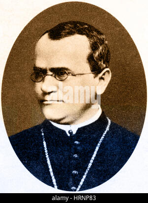 Gregor Mendel, Vater der Genetik Stockfoto