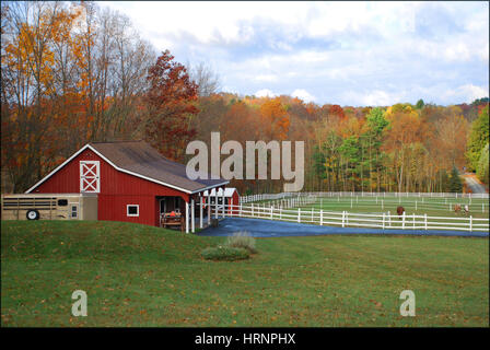 Rote Scheune im Herbst, östlichen Pennsylvania USA Stockfoto