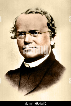 Gregor Mendel, Vater der Genetik Stockfoto