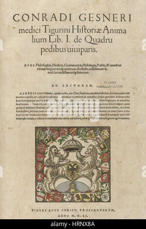 Historiae Animalium, Bd. 1, 16. Jahrhundert Stockfoto