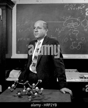 Melvin Calvin, US-amerikanischer Chemiker Stockfoto