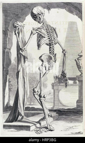 Anatomia Humani Corporis, Tabelle 88, 1690 Stockfoto