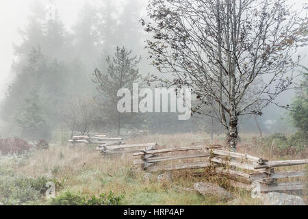 Herbst Nebel verschleiert den Wald und einem entfernten Haus, mit einer Zick-zack-split-Schiene Zaun und Bäume im Vordergrund sichtbar. Stockfoto