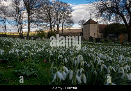 Ein Meer von Schneeglöckchen im Gräberfeld von St Wulfran, ein 11. Jahrhundert Kirche in der South Downs-Dorf Ovingdean, Brighton, East Sussex, UK Stockfoto