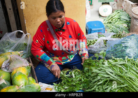 Frau verkauft Kräuter in Psaleu Markt in Siem Reap - Kambodscha Stockfoto