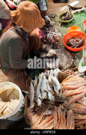 Fischhändler am Psaleu Markt in Siem Reap - Kambodscha Stockfoto