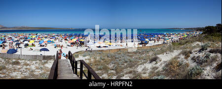 Panoramablick auf den Strand von La Pelosa in Stintino, Sardinien, Italien Stockfoto