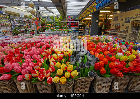 Holzblumen am Bloemenmarkt Blumenmärkte, Amsterdam, Niederlande Stockfoto