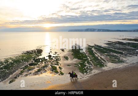 Zwei Pferde am Strand bei Sonnenuntergang, Compton Bucht, Isle Of Wight Stockfoto