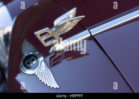 Bentley-Insignien geflügelte "B" Wappen, Abzeichen, Symbol, Wappen auf Motorhaube Stockfoto