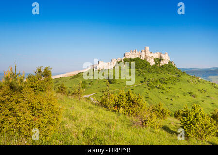 Die Zipser Burgruine in der Slowakei an einem hellen, sonnigen Tag. Stockfoto