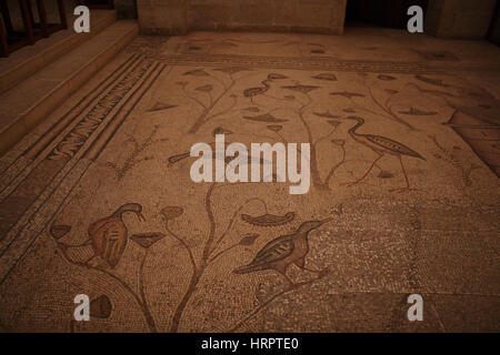 Eine byzantinische Mosaik-Fußboden Künstler beeinflusst von ägyptischen Nil Bereich Kunst Darstellung Feuchtgebiet Vögel und Pflanzen, die Lotus enthalten. Tabgha, Israel. Stockfoto