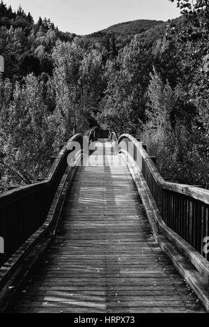 Hölzerne Brücke über den Fluss Fluvia, Castelfollit De La Roca in der Provinz von La Garrotxa Katalonien, Spanien Stockfoto