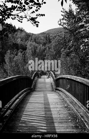 Hölzerne Brücke über den Fluss Fluvia, Castelfollit De La Roca in der Provinz von La Garrotxa Katalonien, Spanien Stockfoto