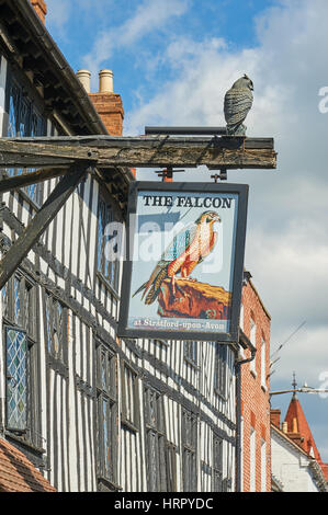 Das Falcon Inn ist eine mittelalterliche Gebäude mitten in Stratford-upon-Avon, England. Stockfoto