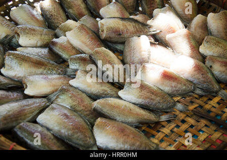 Getrocknete rohem Fisch oder Fisch Gourami bewahrt zum Verkauf im Dorfladen in Wat Muang Tempel in Ang Thong, Thailand Stockfoto