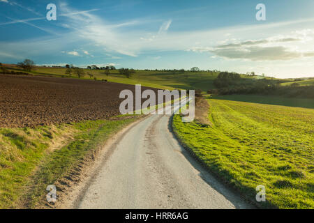 Vorfrühling in South Downs National Park, East Sussex, England. Stockfoto