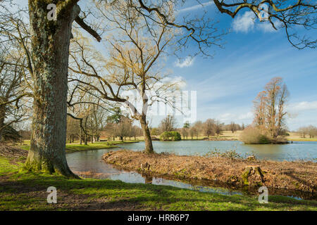 Vorfrühling in Petworth Park, West Sussex, England. Stockfoto