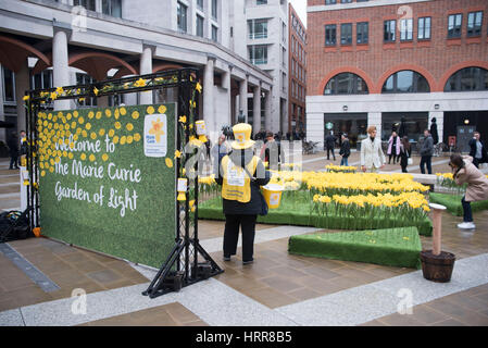 London, UK. 3. März 2017. Der große Narzissen Garten, eröffnet von Nächstenliebe Marie Curie in St. Paul. Es besteht aus 2.100 handgemachte Narzissen, die größte jährliche Spendenaktion zu feiern. Bildnachweis: Alberto Pezzali/Pacific Press/Alamy Live-Nachrichten Stockfoto