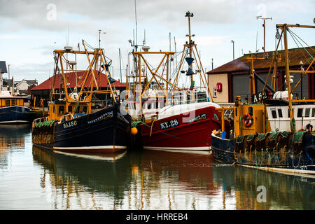 Fischerei Trawler Arbroath Fischmarkt, Angus, Schottland, Ostküste Stockfoto