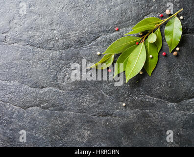 Zweig frischen Lorbeerblatt und Pfeffer auf schwarzem Stein. Viel Platz für Text. Stockfoto