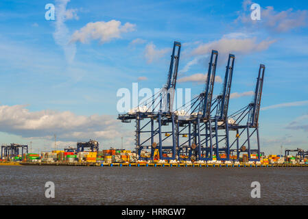 Felixstowe Port uk, riesige Portalkräne neben River Orwell in Felixstowe Docks zum Be- und Entladen von Fracht auf Containerschiffen entworfen. Stockfoto